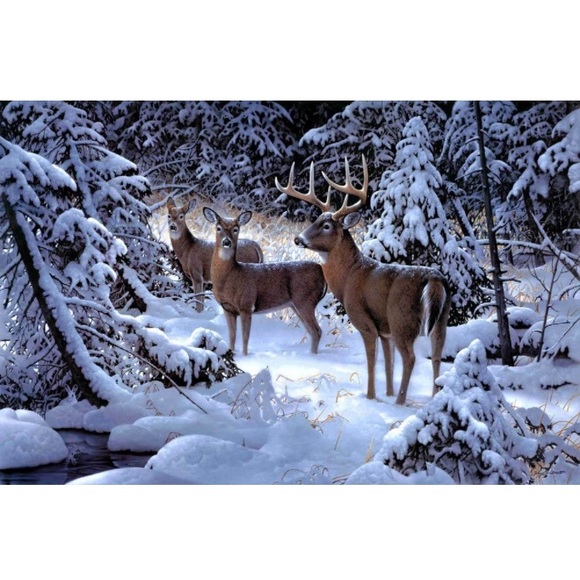 💎Assorted DIAMOND 💎 PAINT 🎨 KITS - Picture 3 of 8